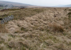 
Waun Pwll Dwr feeder, Waunavon, March 2011